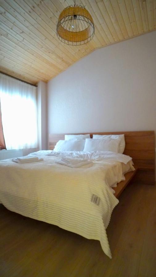 Zarku Apartments Бакуриани Екстериор снимка